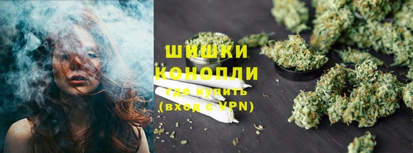 дурь Пересвет