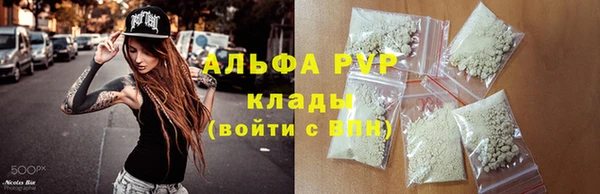 крисы Балахна